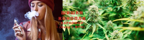 прущие грибы Алексин