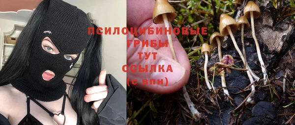 крисы Абинск