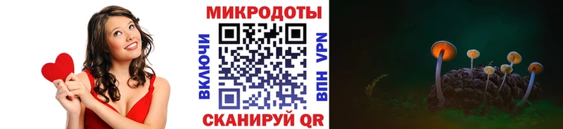 наркошоп  Иннополис  Псилоцибиновые грибы Cubensis 