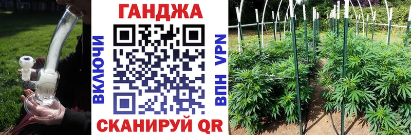 Шишки марихуана White Widow  где можно купить   Иннополис 